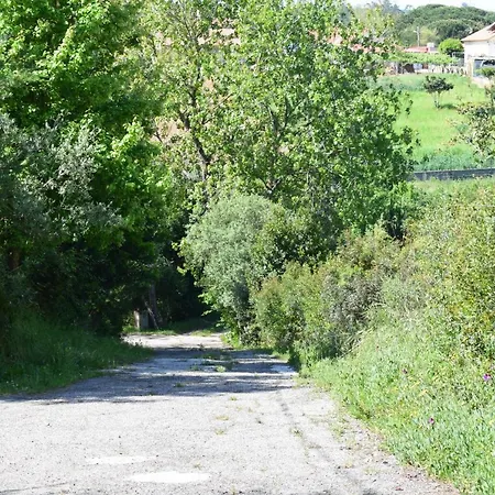 Quinta Dos Pinheiros *