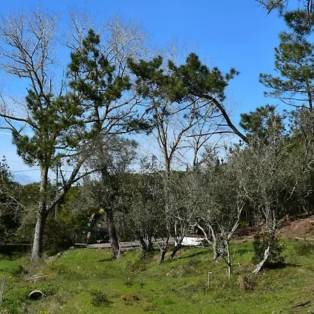 Quinta Dos Pinheiros