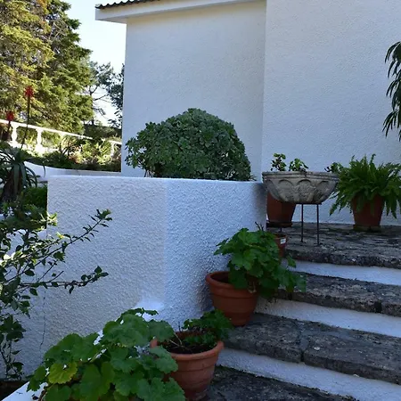 Quinta Dos Pinheiros 別荘 *