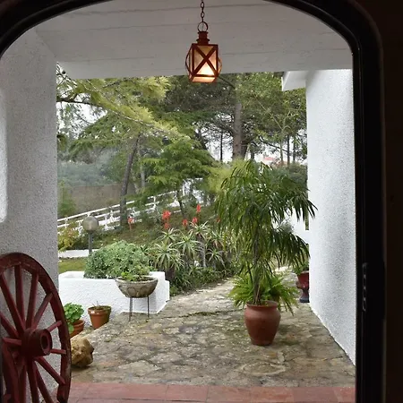 Quinta Dos Pinheiros 別荘 *