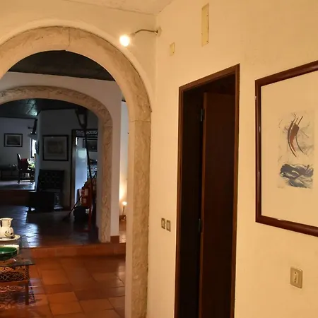 Quinta Dos Pinheiros 別荘 アルファリン