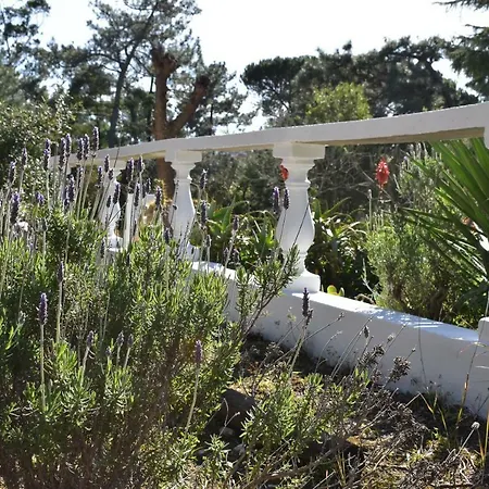 Quinta Dos Pinheiros アルファリン