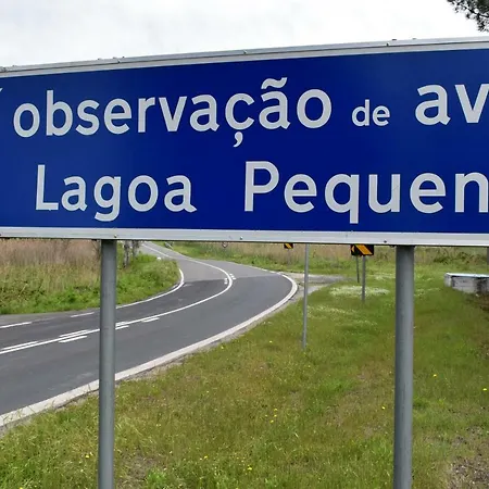 Quinta Dos Pinheiros 別荘 *