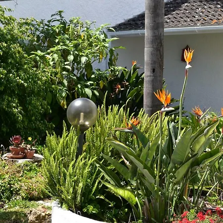 Quinta Dos Pinheiros